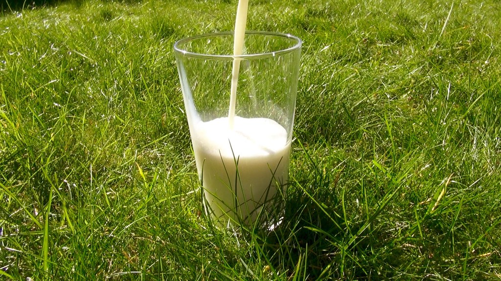 Как проверить качество молока