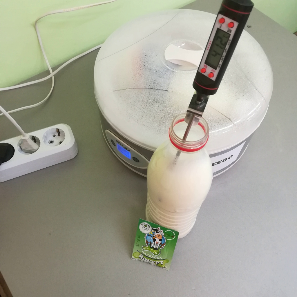 Как приготовить йогурт в домашних условиях?